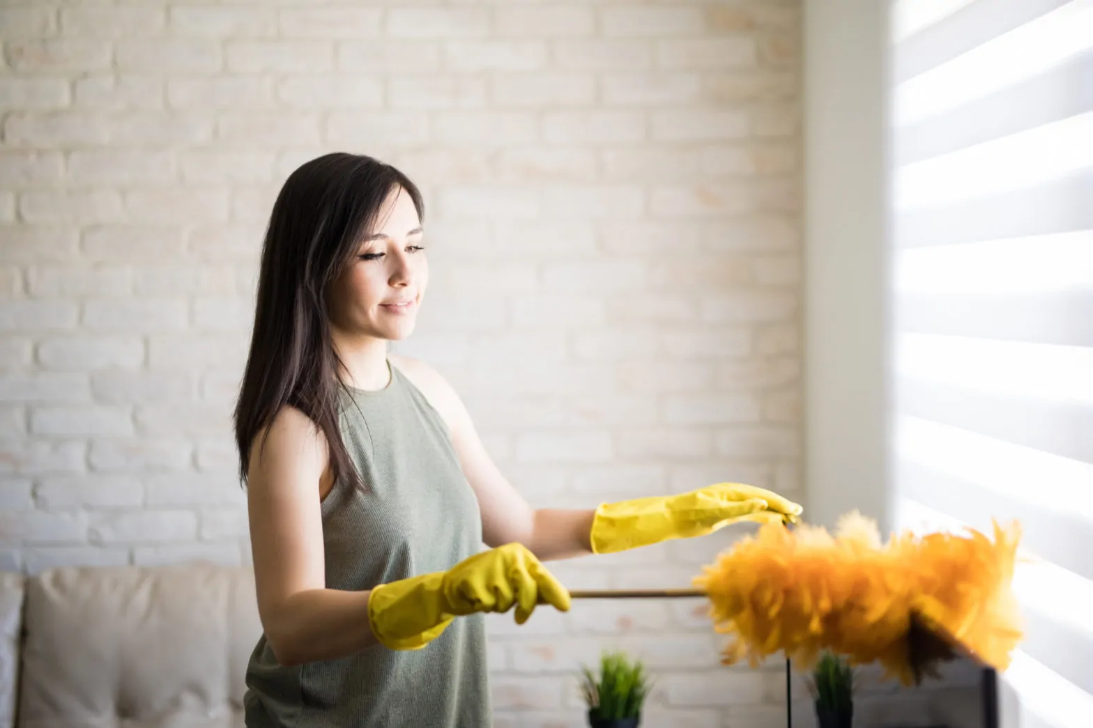 Beautiful housewife rubbing feather duster on television