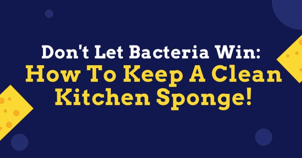Don't Let Bacteria Win: How To Keep A Clean Kitchen Sponge!