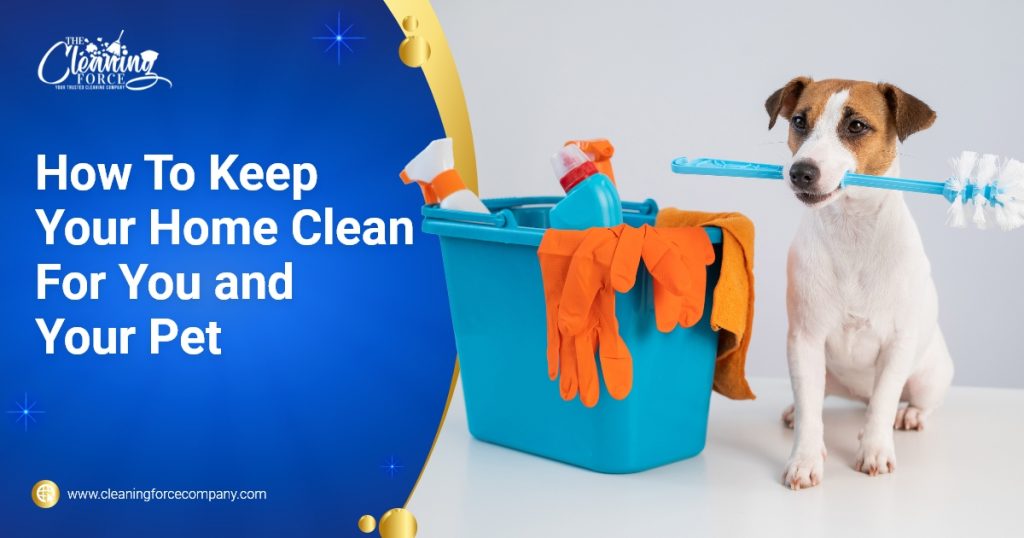 How To Keep Your Home Clean For You And Your Pet