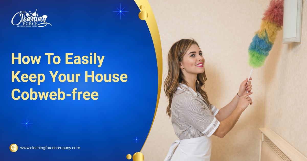 How To Easily Keep Your House Cobweb-free