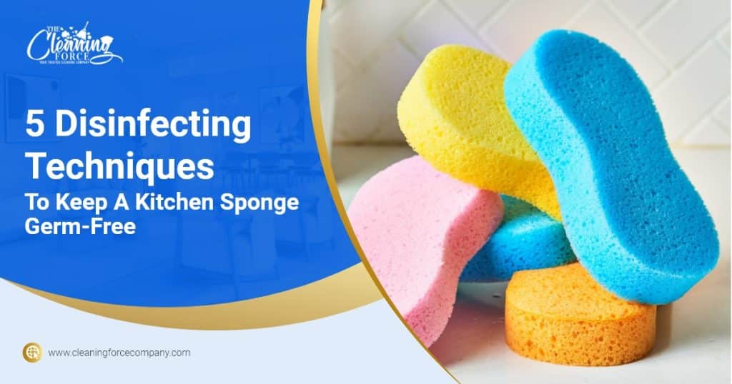 5 Disinfecting Techniques To Keep A Kitchen Sponge Germ-Free