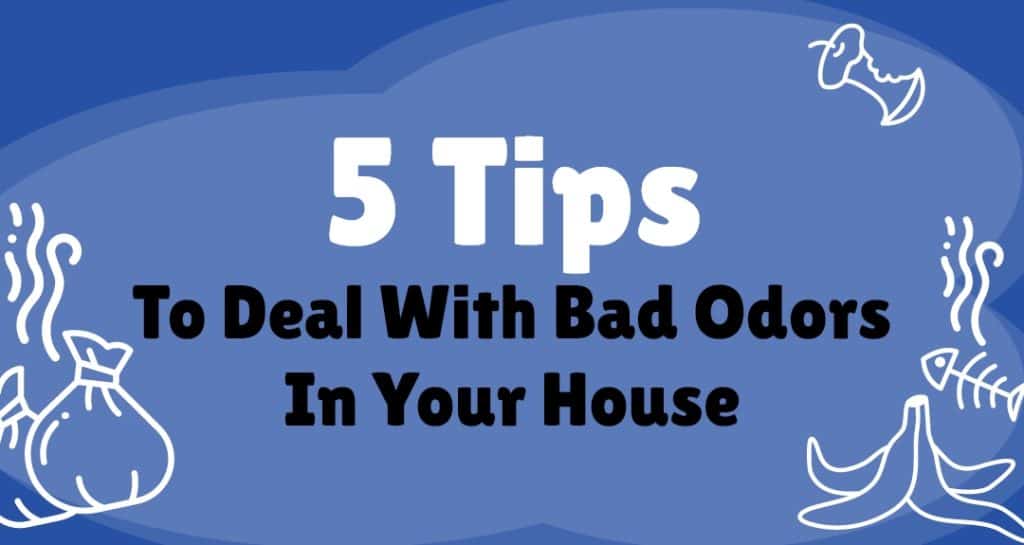 5 Tips To Deal With Bad Odors In Your House