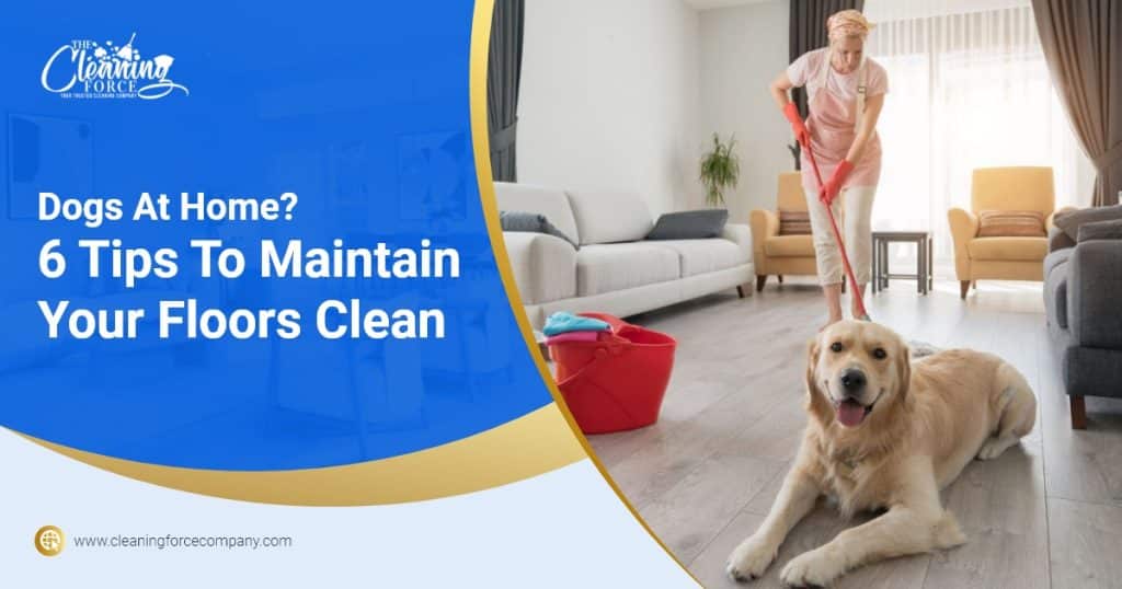 Dogs At Home? 6 Tips To Maintain Your Floors Clean