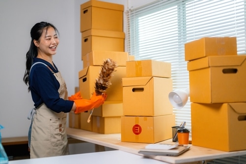 What does a move-in clean consist of