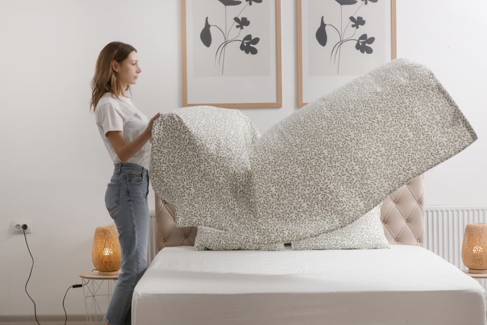 ongoing cleaning services allen tx